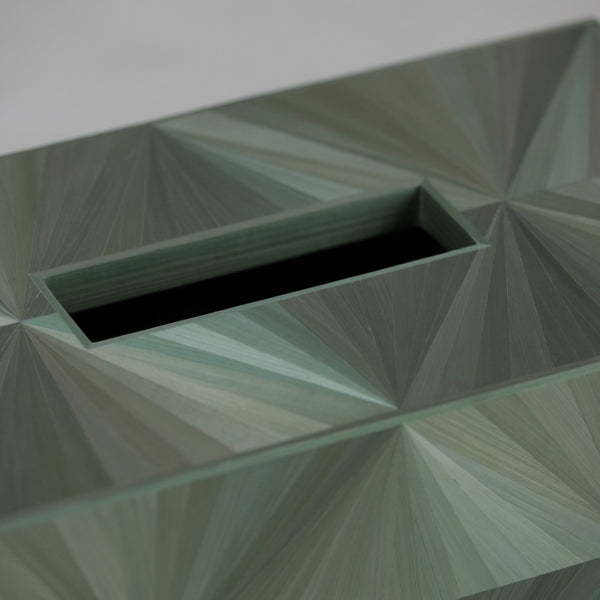 Pont Tissue Box, Flash long