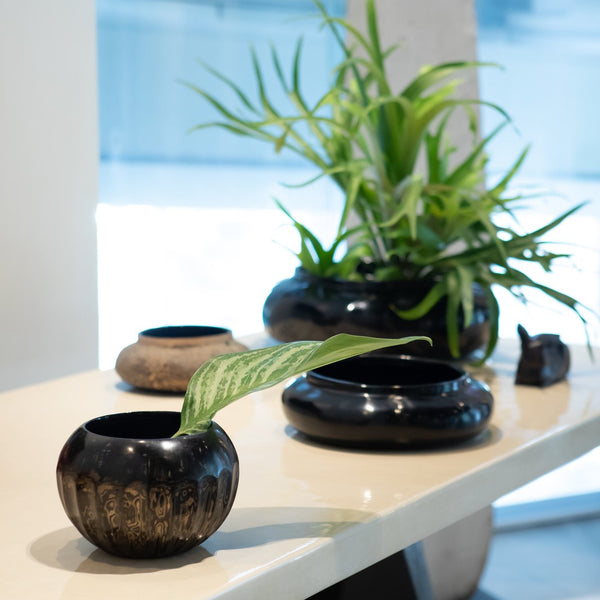 Ribbed Bowl, Black Bronze