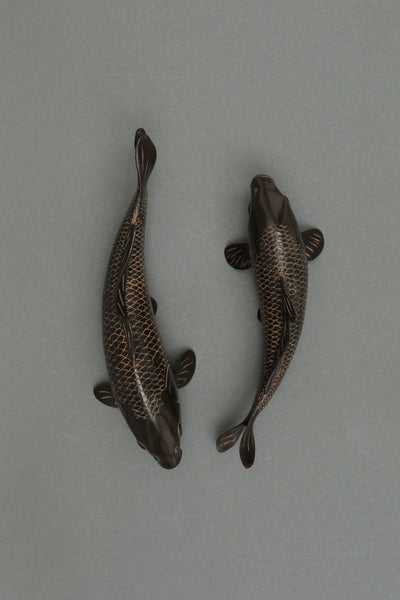 Pair of Mini Koi Fishes