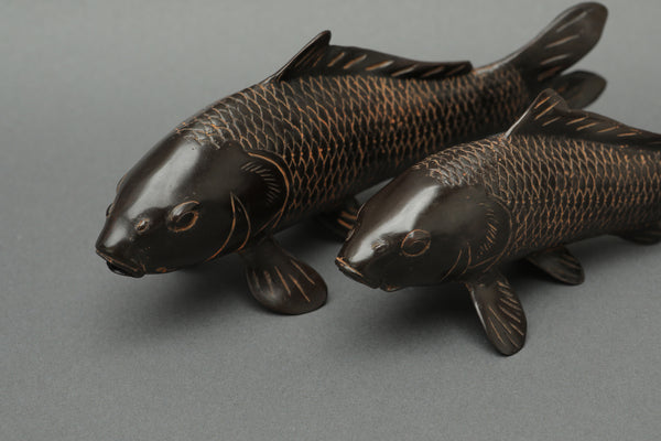Pair of Mini Koi Fishes